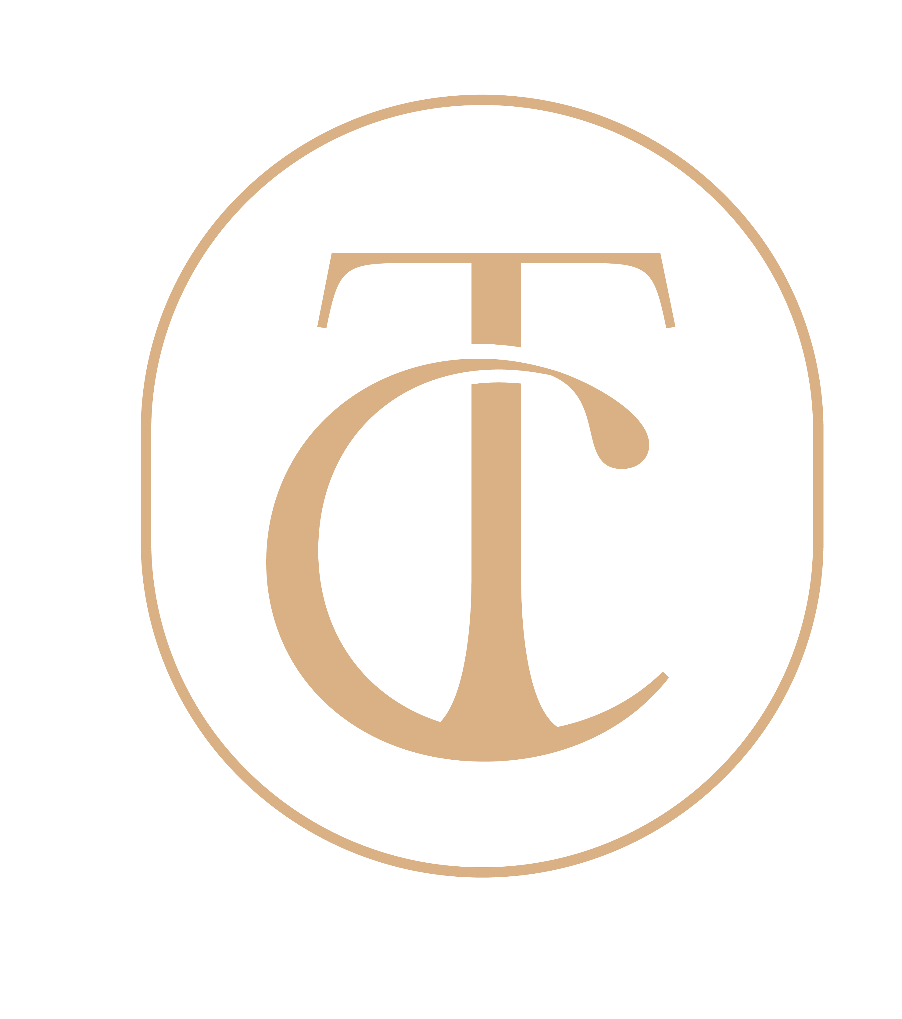 logo charles tanguy avocat dommages corporels lyon